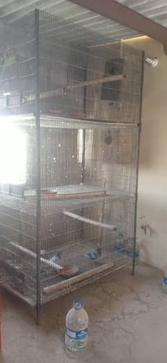 cages for grey parrot and macaw