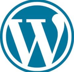 WordPress expert