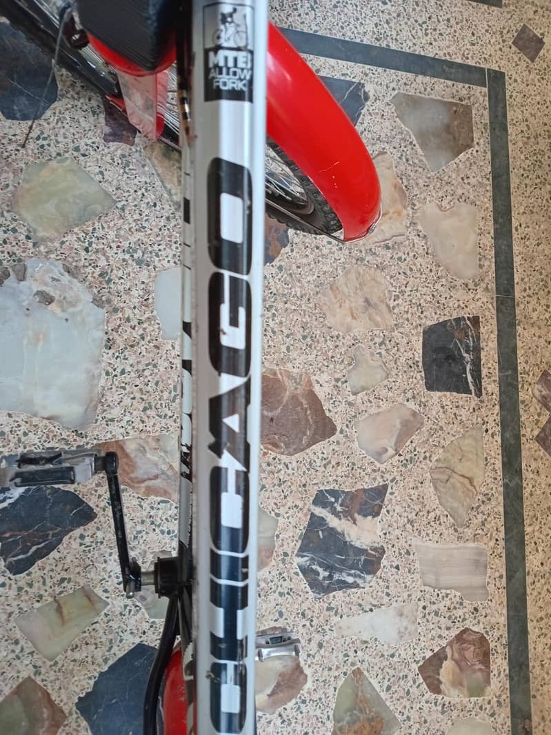 Chicago Bicycle 1