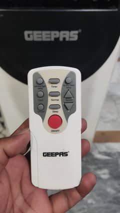 GEEPAS