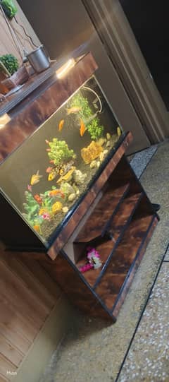 Fish Acqurium for sale
