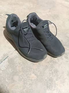 Dr Sole Shoes in Good condition