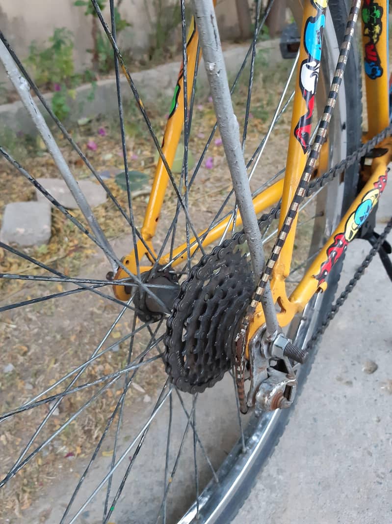 phonix 26 number cycle for sale 4