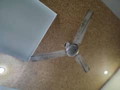 ceiling fans
