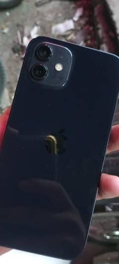 iphone 12 jv