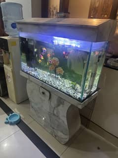 Fish aquarium for sale with all fishes