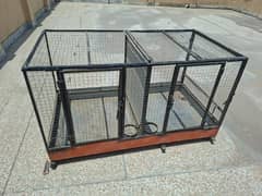 Birds Cage