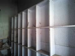 Shop