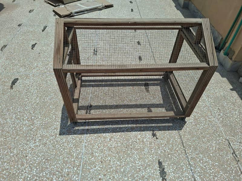 Birds cage 0