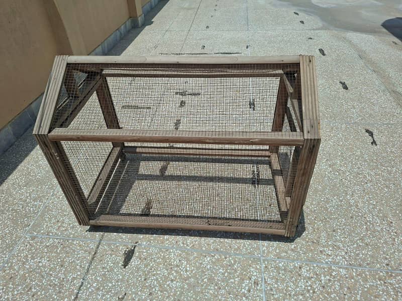 Birds cage 1