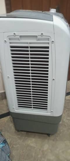 Air cooler