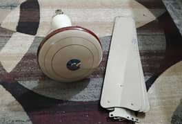 ceiling Fan