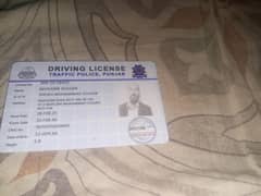 A professional Driver