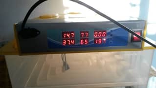incubator ingood condition