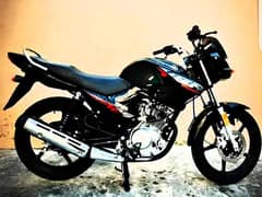 Yamaha ybr 125(0333-0229816) mint condition