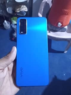 vivo