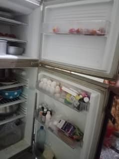 refrigerator pel