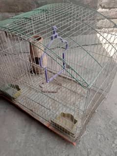 bird cage