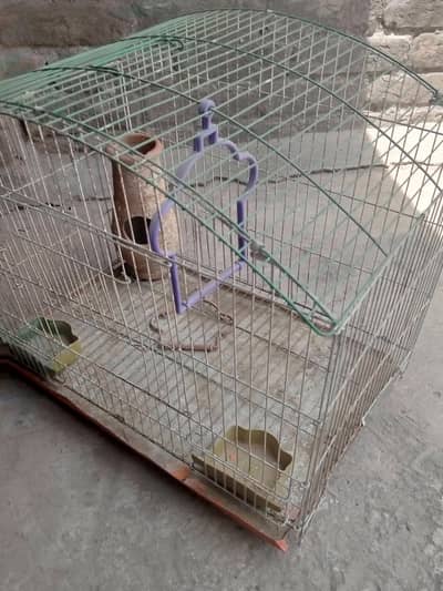 bird cage