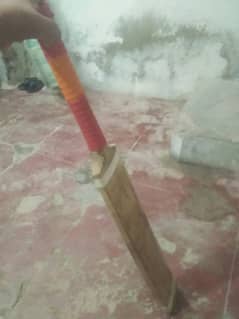 BAT