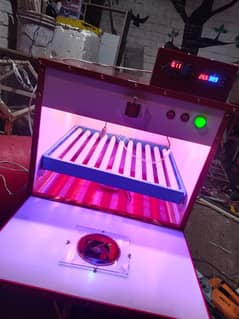 Eggs incubator / egg machine / incubator