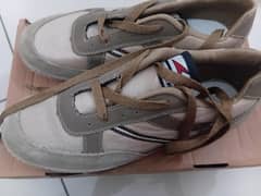 Brand New Squash Jansher Khan Style Power Shoes