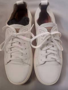 white+off-white