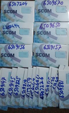 Sc0m s°m available For N0n Pta Mobile Phone
