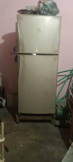 used fridge hai