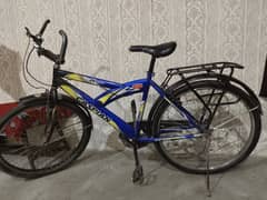 for Sale
