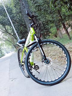 hammer full size 29