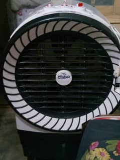 phoenix air cooler