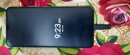 vivo