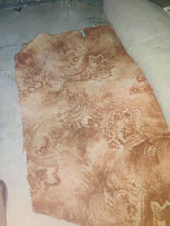 Carpet,