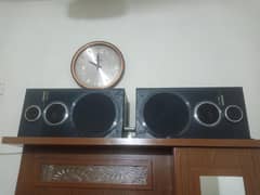 Pioneer S-Z92V 10 inch Speakers & Class-D amplifier