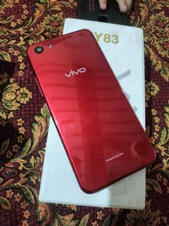 Vivo