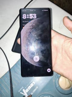 google 6 pro approved