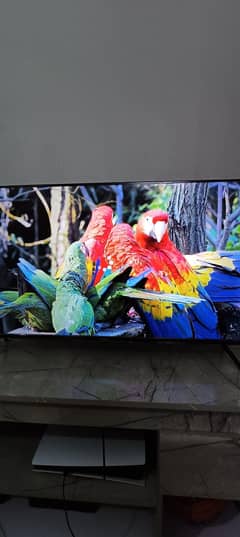 HAIER 43 INCH SMART 4K LED TV