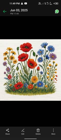 Computer digitizing  _ embroidery