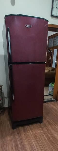 Haier brand 13 cuft capacity refrigerator just like new for urgent.