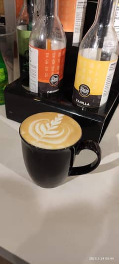 barista