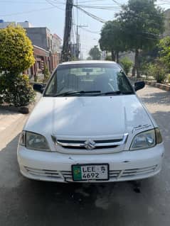 Suzuki caltus