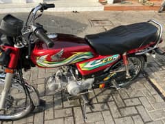 HONDA  CD 70 2023 MODEL