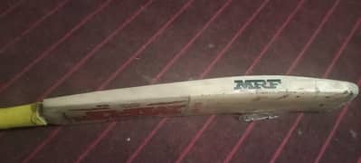 Bat Kashmir willow
