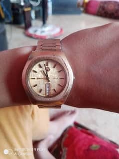 Rado stag