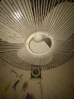 pak fan