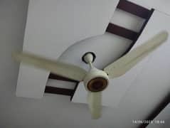 PAK FAN AC DC