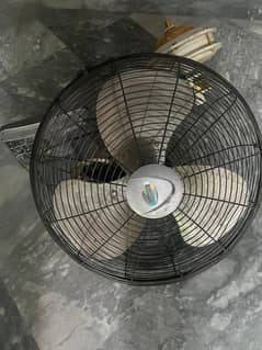 50