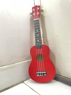 Brand new ukulele