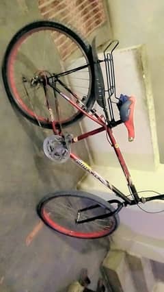 Cycle